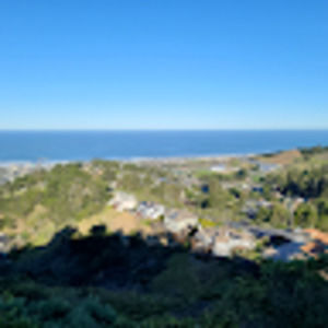 Meet your Posher, Walter